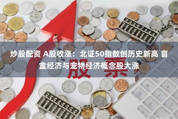 炒股配资 A股收涨：北证50指数创历史新高 盲盒经济与宠物经济概念股大涨