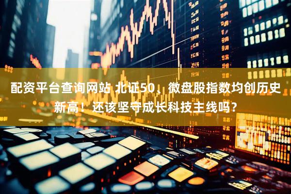 配资平台查询网站 北证50、微盘股指数均创历史新高！还该坚守成长科技主线吗？